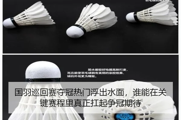 img_1782107406498_5_2_418.jpg